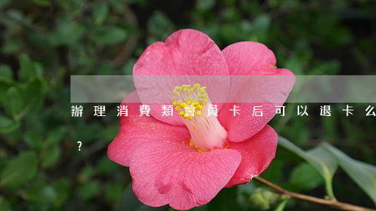 辦理消費類會員卡后可以退卡么？